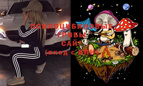 таблы Белокуриха