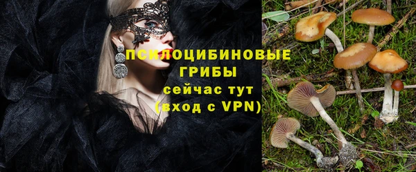 таблы Белокуриха