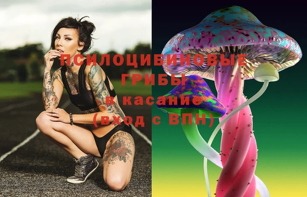 каннабис Беломорск