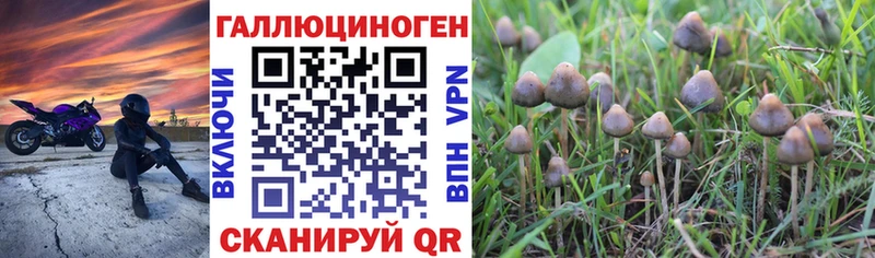ссылка на мегу зеркало Плёс Псилоцибиновые грибы Magic Shrooms